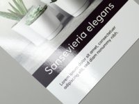 Glansig flyer p bestruket papper, tryckt p en sida.