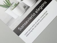 Fyrkantig flyer p bestruket papper.
