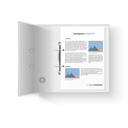 Lösbladssystem, A4, 21 x 29,7 cm, stående format, Tryckt med fyrfärgstryck på en sida (4/0) 3