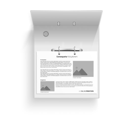 Lösbladssystem, A4, 29,7 x 21 cm, liggande format, Tryckt enfärgat på båda sidor (1/1) 3