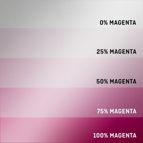 Foldrar med effektfärger, liggande format, A65 10