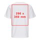 Vit T-shirt i bomull med korta ärmar och rund halsringning, unisexmodell.