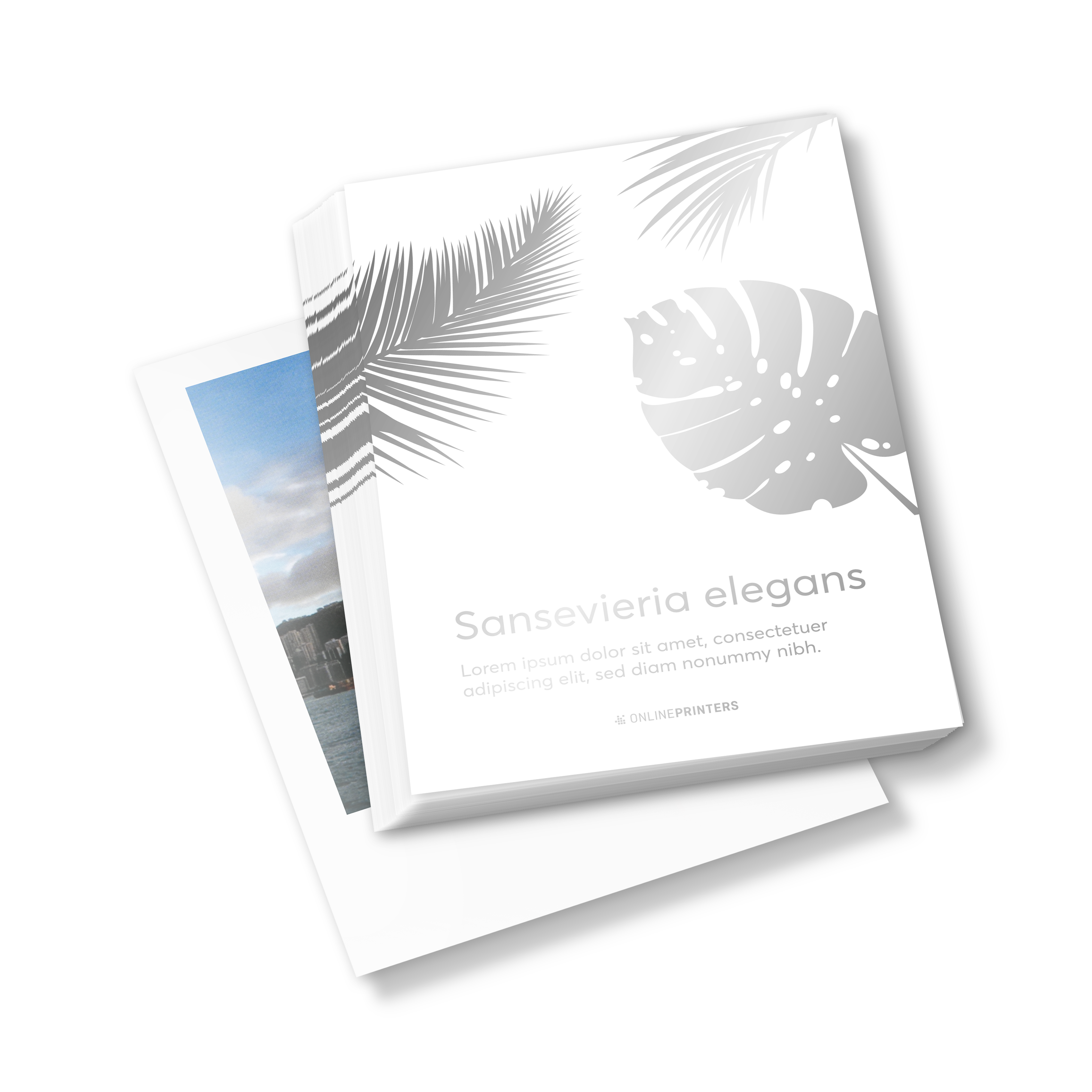 Flyer med effektfrger, tryckt p bda sidor